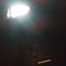 Profile Picture of Alvin Murphy (@alvin.murphy.148) on Facebook