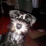 Profile Picture of Teresa Ringer (@teresa.ringer.39) on Instagram