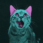 Profile Picture of Mario Ortiz (@mariobosbik) on Flickr