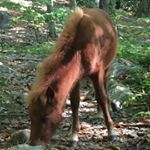 Profile Picture of David Flittner (@davidflittner) on Instagram