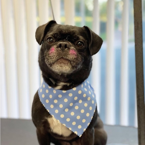 Profile Picture of Losman Diggity (@cagt3) on Poshmark