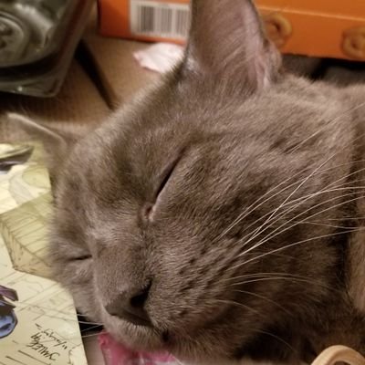 Profile Picture of Geeksmyth (@allynweimer) on Twitter