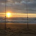 Profile Picture of Carol Barnes Holcombe (@carol.holcombe) on Instagram