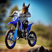 Profile Picture of Lisa Welsch (@lisawelsch5431) on Youtube