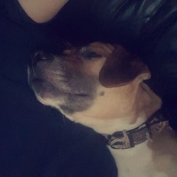 Profile Picture of Michael Allmond (@boogerbear240) on Poshmark