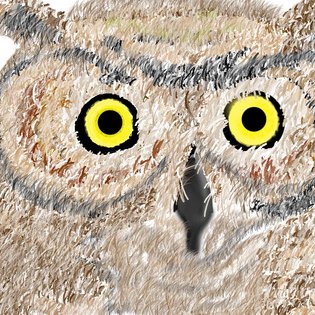 Profile Picture of Conor McAuliffe (@ConorHMcAuliffe) on Twitter