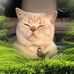 Profile Picture of Andrew Brock (@andrew.brock.792) on Facebook
