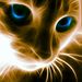 Profile Picture of Paula Groser (@Paulchenpanter2) on Pinterest