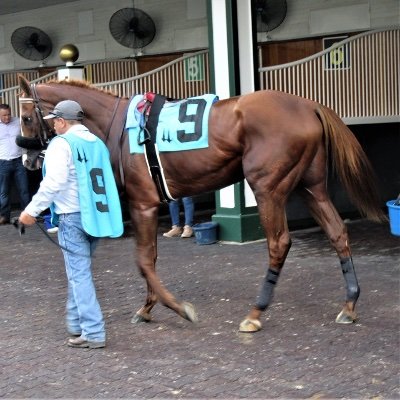 Profile Picture of DCDno (@DCDNO) on Twitter