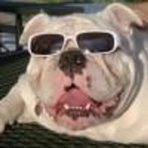 Profile Picture of Barbara Gorla (@101560091) on Myspace
