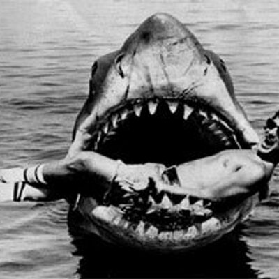 Profile Picture of Joshua Prusak (@SharkPartyTime) on Twitter