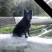 Profile Picture of Keith Bartram (@Keith-Bartram) on Facebook