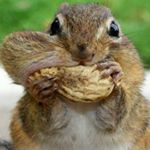 Profile Picture of carlton_taylor_2005 (@carlton_taylor_2005) on Instagram