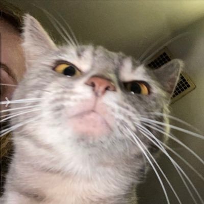 Profile Picture of Hunter Clark (@Hunter98Clark) on Twitter