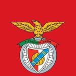 Profile Picture of Sabir Kolsawala (@sabir_kolsawala) on Instagram