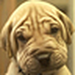 Profile Picture of Normy78 (@normy78) on Flickr