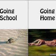 Profile Picture of Lara Delaney (@laraedelaney) on Twitter