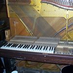 Profile Picture of Luc Roberge (@lucroberge_) on Instagram