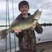 Profile Picture of Blake Madsen (@blake.madsen.315) on Facebook
