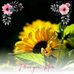 Profile Picture of Cindy Crader (@cindy.crader.9) on Facebook