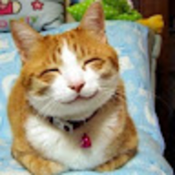 Profile Picture of Zou Zoulamine (@zouzoulamine) on Poshmark