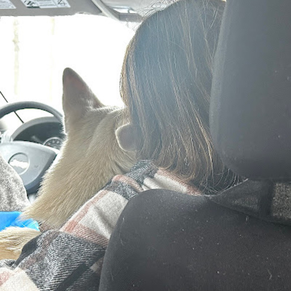 Profile Picture of Alexandra Guillen (@alexandragui183) on Poshmark