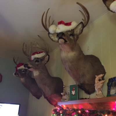 Profile Picture of Michael Jandl (@michael_jandl) on Twitter