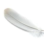 Profile Picture of Alex (@_tickleroleplay_) on Instagram