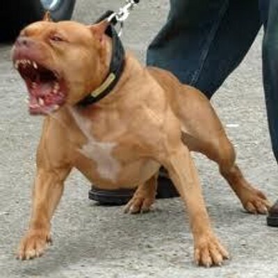 Profile Picture of Bradley Vanzant (@BradleyVanzant) on Twitter
