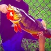 Profile Picture of michaelmcnally (@michaelmcnally) on Tiktok