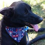 Profile Picture of Alan Zheng (@alpalk9) on Instagram