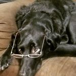 Profile Picture of Nathan J Kaczmarek (@natedawgg_1981) on Instagram