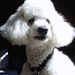 Profile Picture of Jerry Hauck (@hauck2159) on Pinterest