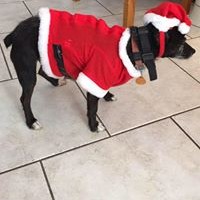 Profile Picture of Matthew Seales (@matthew-seales) on Quora