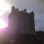 Profile Picture of David Logie (@davielogie) on Instagram