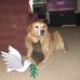 Profile Picture of Terry Laughlin (@terry.laughlin.10) on Facebook