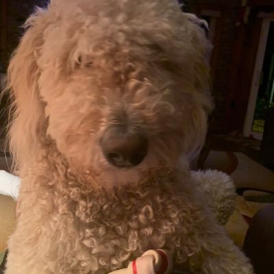 Profile Picture of Scott Sizemore (@ScottSi93712716) on Twitter