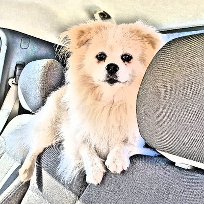 Profile Picture of Donna Pruitt Fulp (@donna_fulp) on Twitter