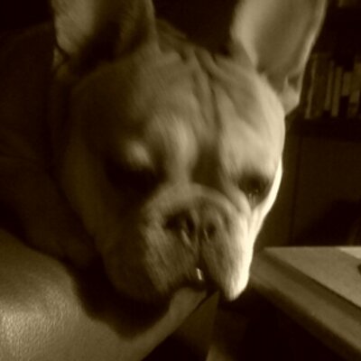 Profile Picture of Aaron Jenks (@aaronjenks28) on Twitter