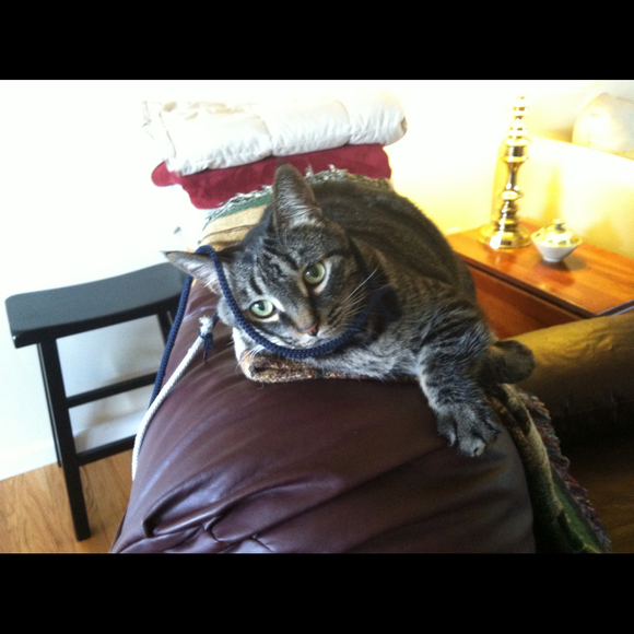 Profile Picture of Julia Sprinkle (@jasprinkle) on Poshmark