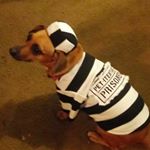 Profile Picture of brenda delph (@brendadelph2017) on Instagram
