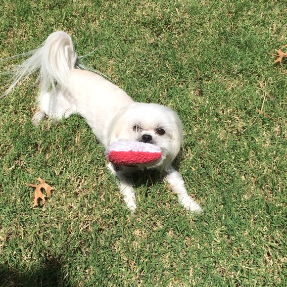 Profile Picture of Lisa Viguet (@lisvig) on Poshmark