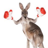 Profile Picture of David Brambila (@david-brambila-6) on Quora