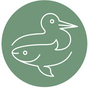 Profile Picture of Sallins Biodiversity Group (@SallinsBiodiversityGroup) on Youtube