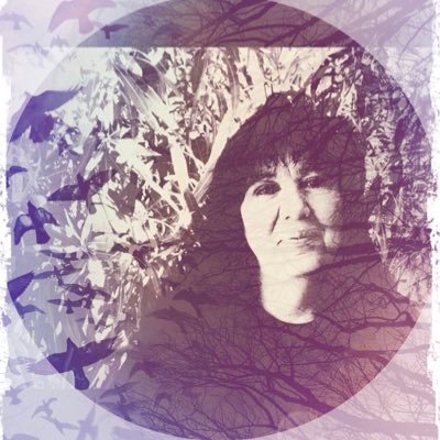 Profile Picture of Lisa Yoshi (@@laliferis) on Twitter