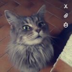Profile Picture of Claire Trappler (@clairetrappler) on Instagram