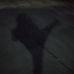 Profile Picture of Devin Killan (@devin.killan.1) on Facebook
