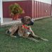 Profile Picture of James Ashley Currey (@ashley.currey.77) on Facebook