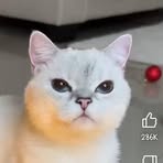 Profile Picture of Clark Nasol (@Clark-Nasol) on Facebook