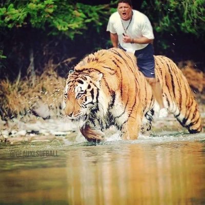 Profile Picture of Patrick Rollins (@pdrollins2002) on Twitter